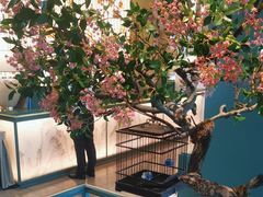 -潮上潮(南中环店)