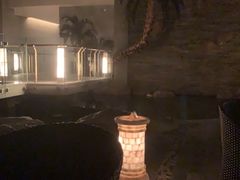-和园景逸大酒店朗月汤泉