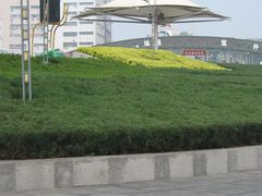 -海河外滩公园