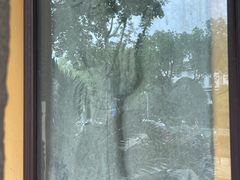 -亭林园-华藏寺