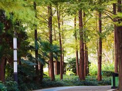 -苏州河梦清园环保主题公园