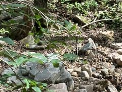 -封龙山风景区