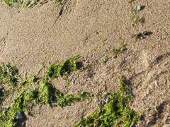 -东戴河风景区-止锚湾