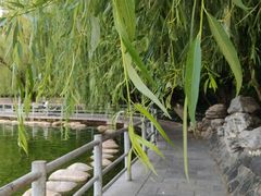 -莲湖公园