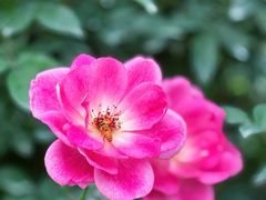 -人民公园(罗湖区)