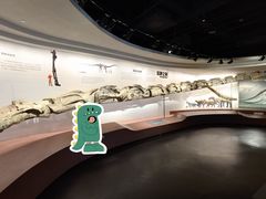 -自贡恐龙博物馆