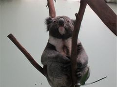 -费瑟代尔野生动物园