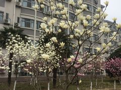 -江南大学(蠡湖校区)
