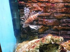 -北戴河圣蓝海洋公园