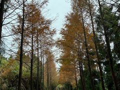 -泽雅景区
