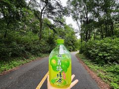-萨尔浒风景区