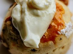 -上海和平饭店-华懋阁 The Cathay Room