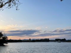 -大兴滨河森林公园