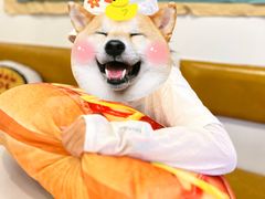 -Eckl’s爱氏热狗(猫街店)