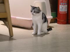 -藏猫猫咖啡主题馆(中央大道店)