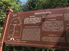 -大岭沟猕猴桃谷风景区