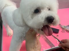 -宠福鑫康馨动物医院·骨科·眼科