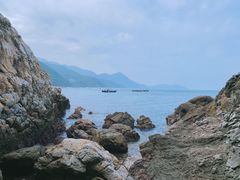 -杨梅坑