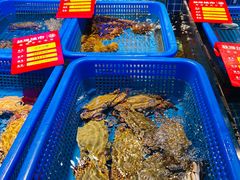 -驻海渔市(置信店)