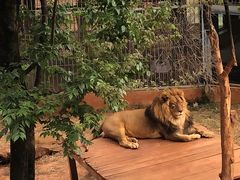 -昆明动物园