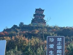 -定都阁