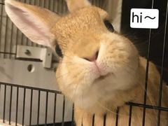 -幸福铁板烧(共和村店)