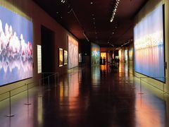 -罗红摄影艺术馆