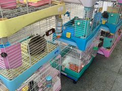 -沈阳北市场花鱼古玩城
