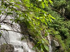 -藏龙百瀑风景区