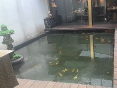 -觀芷隐轩