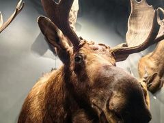 -陕西自然博物馆