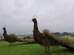-光明小镇欢乐田园