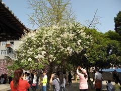 -西安青龙寺遗址景区