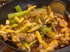 湘西霸王蛙-望湘园·湖南菜(宏伊店)