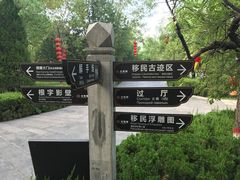 -大槐树寻根祭祖园