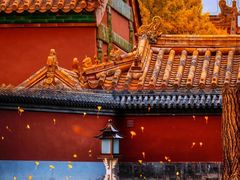 -故宫博物院(故宫)