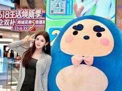 -红星美凯龙北京至尊MALL(东四环中路店)