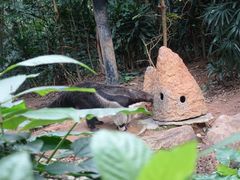-广州长隆野生动物世界