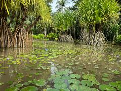-中国科学院西双版纳热带植物园