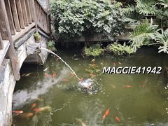 -凤凰山斑鱼馆(恭城店)