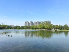 -太阳宫公园