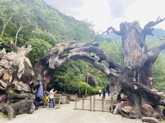 -龙湾潭国家森林公园