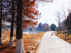 -苏州东太湖生态园