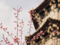-哥老官重庆美蛙鱼头(五角场合生汇店)