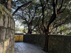 -普陀山慧济禅寺