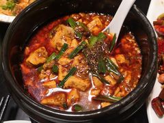 -陈麻婆豆腐总店