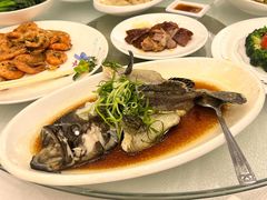 -金翠皇宫粤菜·点心·海鲜(科技园店)