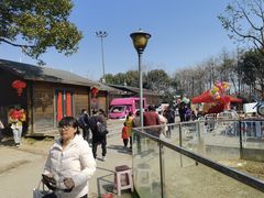 -合肥滨湖国家森林公园