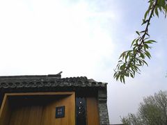 -春风习习