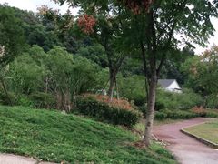 -超山青莲寺